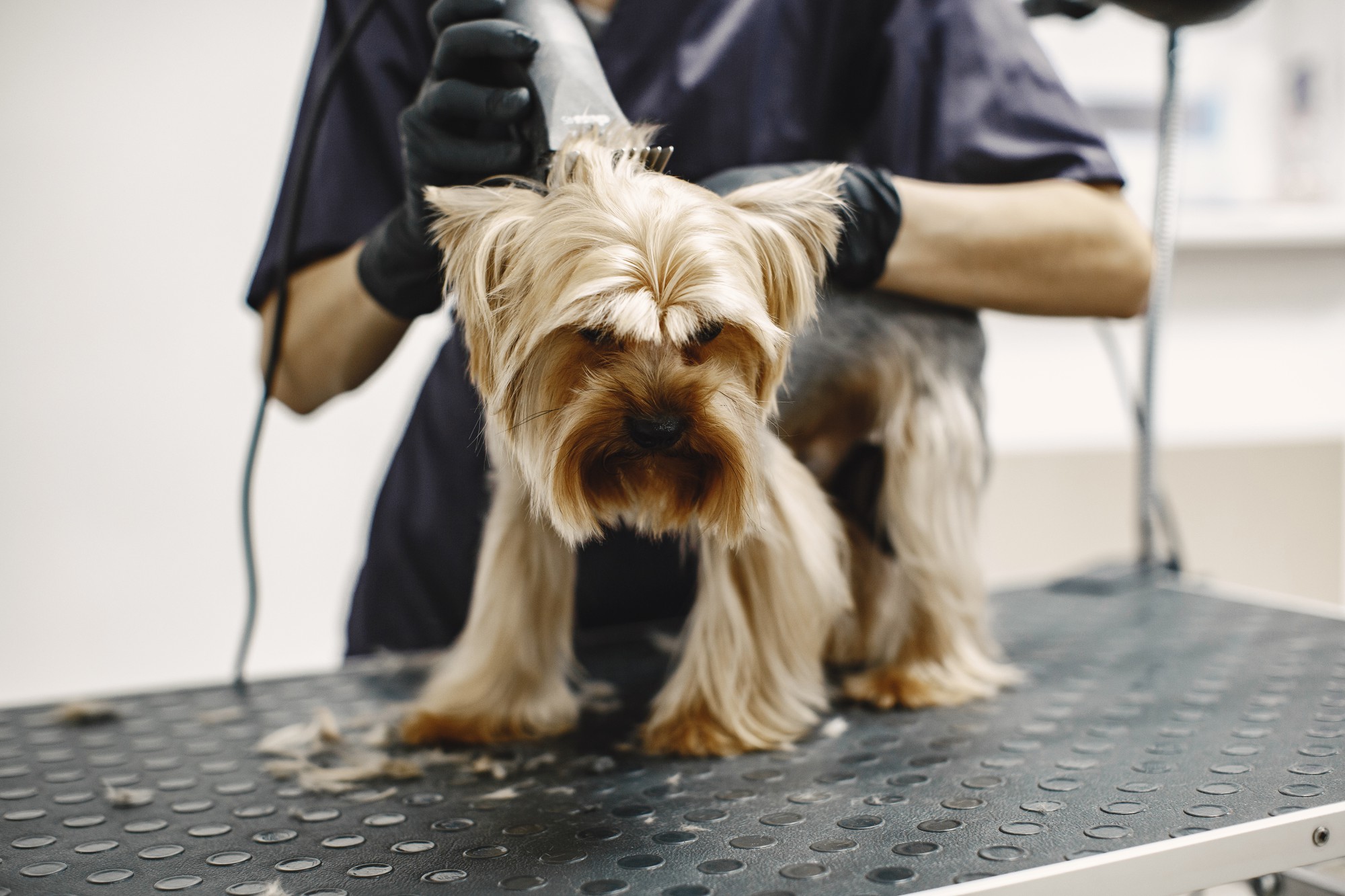 Produtos para pets